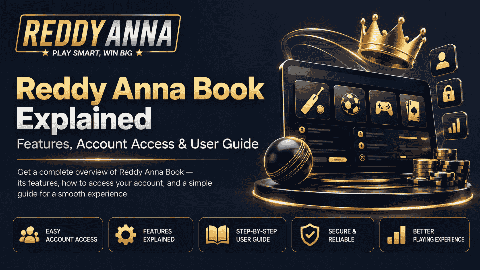 Reddy Anna Book Explained
