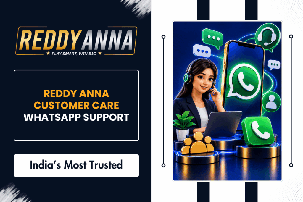 How to Contact Reddy Anna Customer Care on WhatsApp